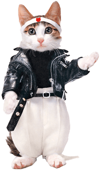 つっぱり猫